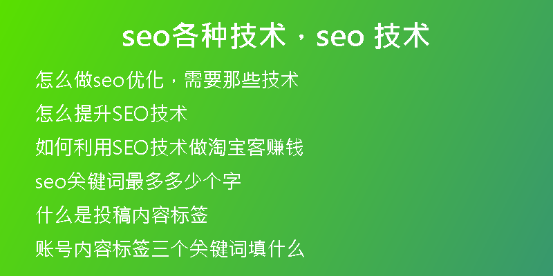 seo各种技术，seo 技术