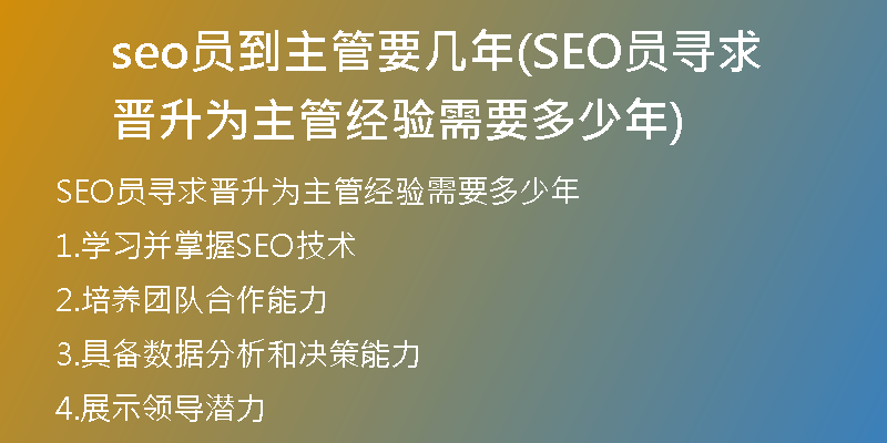 seo员到主管要几年(SEO员寻求晋升为主管经验需要多少年)