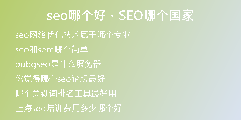 seo哪个好，SEO哪个国家