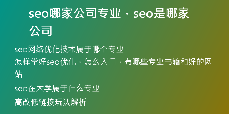 seo哪家公司专业，seo是哪家公司