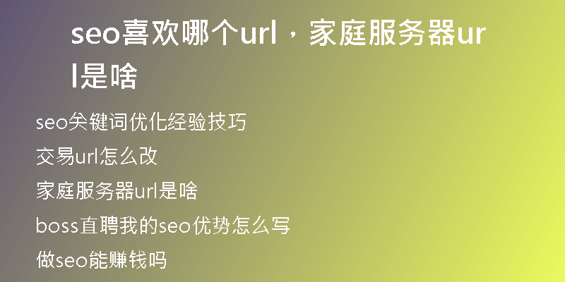 seo喜欢哪个url，家庭服务器url是啥
