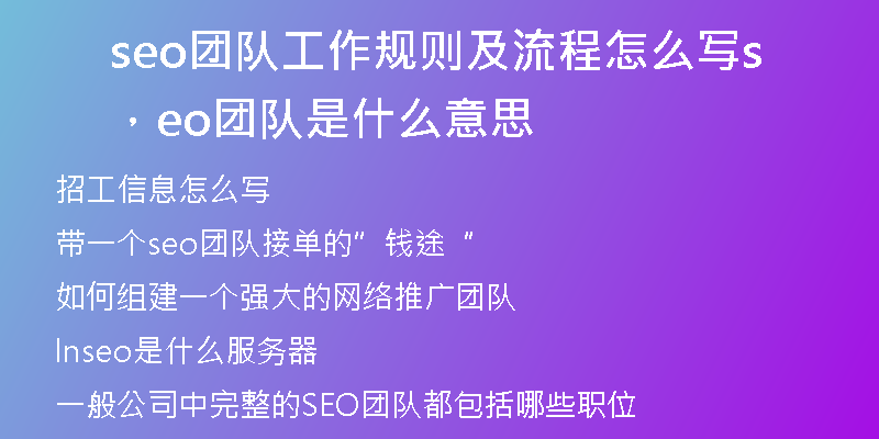 seo团队工作规则及流程怎么写，seo团队是什么意思