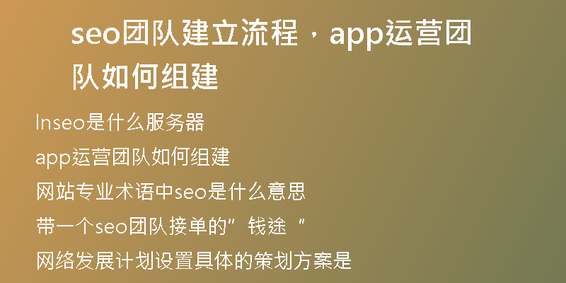 seo团队建立流程，app运营团队如何组建