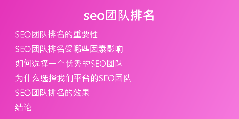 seo团队排名