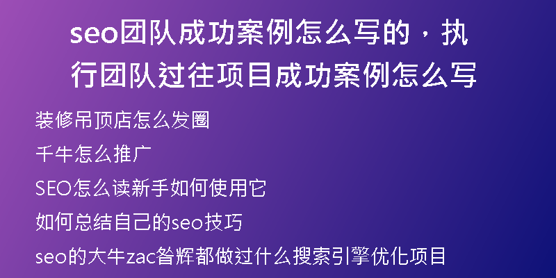 seo团队成功案例怎么写的，执行团队过往项目成功案例怎么写
