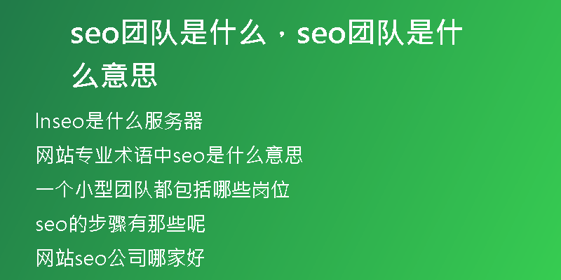 seo团队是什么，seo团队是什么意思