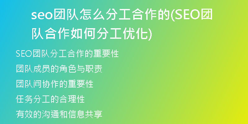 seo团队怎么分工合作的(SEO团队合作如何分工优化)