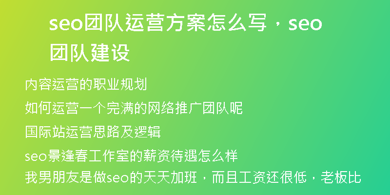 seo团队运营方案怎么写，seo团队建设