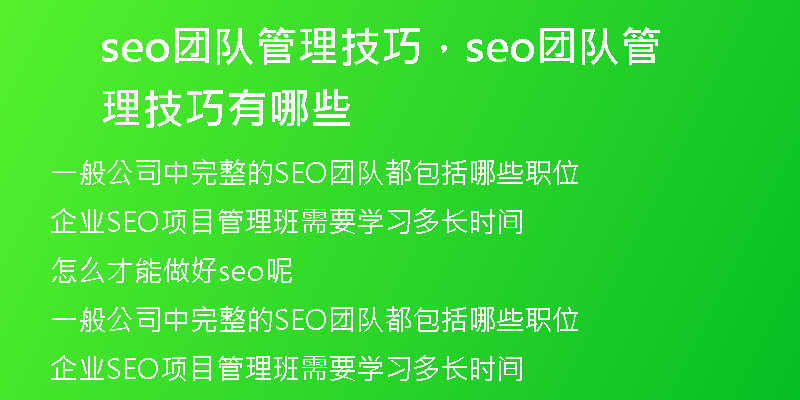 seo团队管理技巧，seo团队管理技巧有哪些