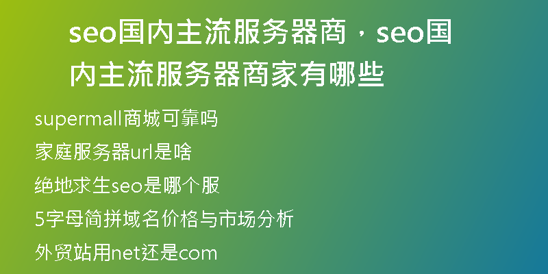 seo国内主流服务器商,seo国内主流服务器商家有哪些