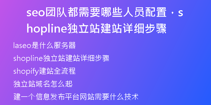 seo团队都需要哪些人员配置，shopline独立站建站详细步骤