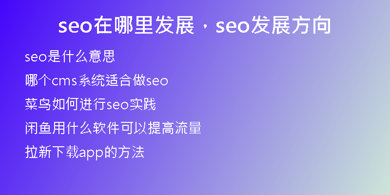 seo在哪里发展，seo发展方向
