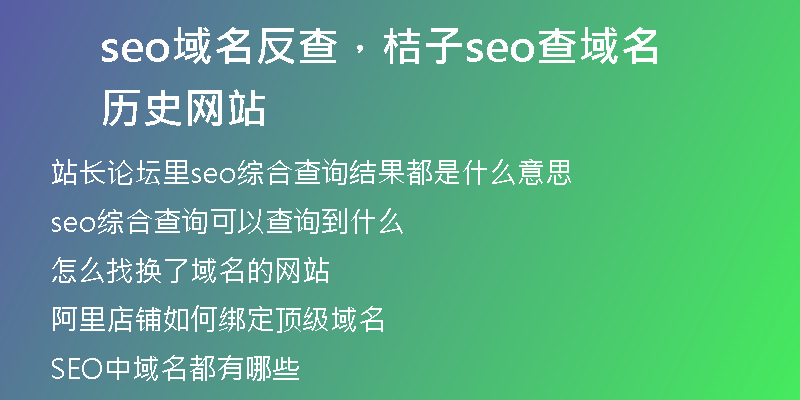 seo域名反查，桔子seo查域名历史网站