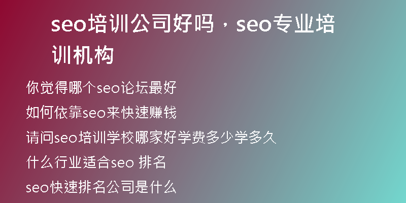 seo培训公司好吗，seo专业培训机构