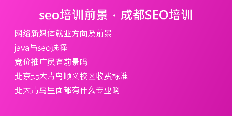 seo培训前景，成都SEO培训