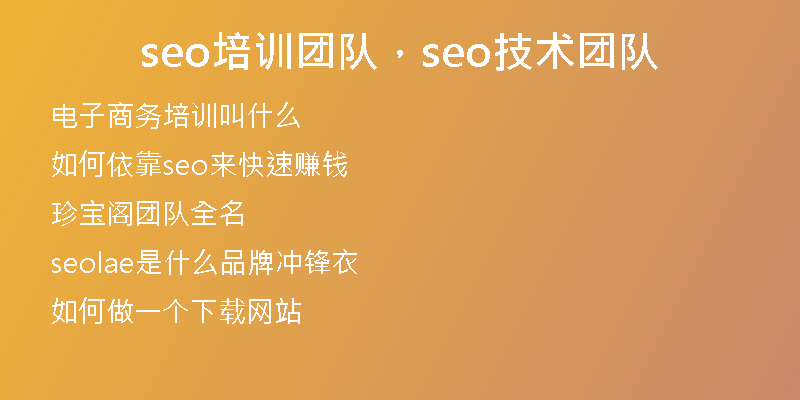 seo培训团队，seo技术团队