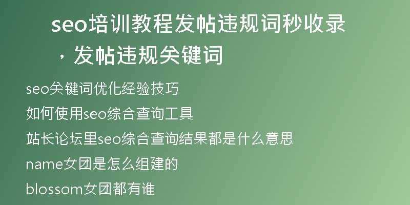 seo培训教程发帖违规词秒收录，发帖违规关键词