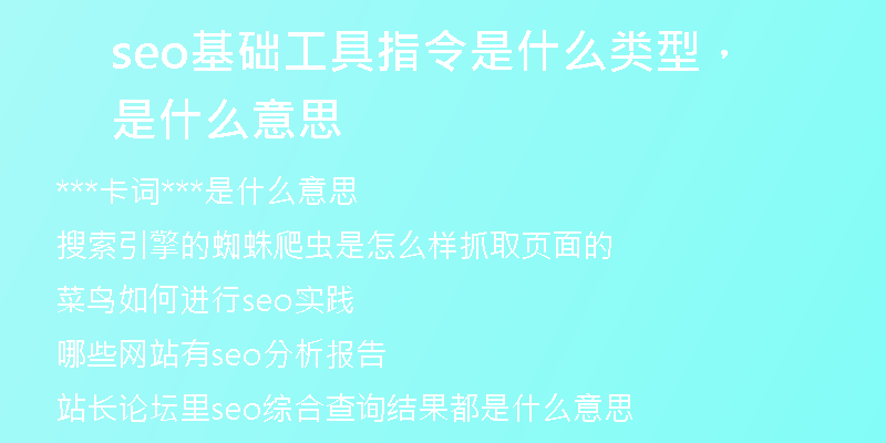 seo基础工具指令是什么类型，是什么意思