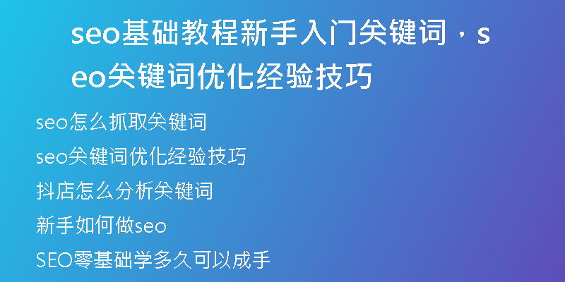 seo基础教程新手入门关键词，seo关键词优化经验技巧