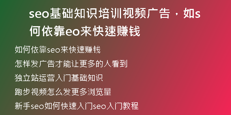 seo基础知识培训视频广告，如何依靠seo来快速赚钱