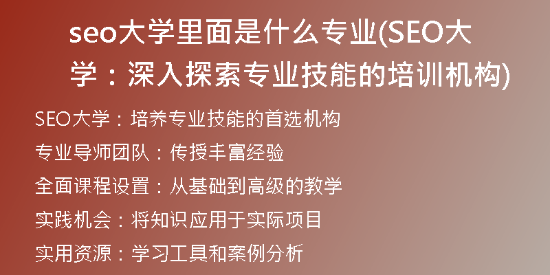 seo大学里面是什么专业(SEO大学:深入探索专业技能的培训机构)