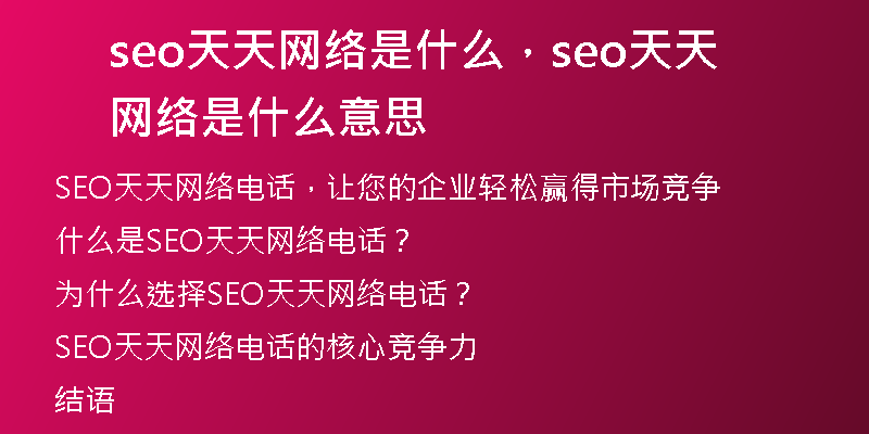seo天天网络是什么，seo天天网络是什么意思