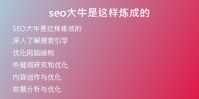 seo大牛是这样炼成的
