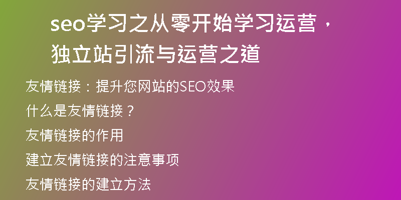 seo学习之从零开始学习运营，独立站引流与运营之道