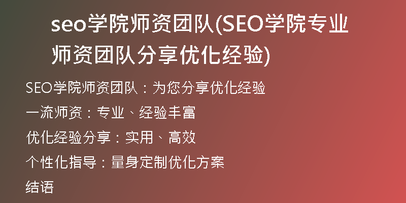 seo学院师资团队(SEO学院专业师资团队分享优化经验)