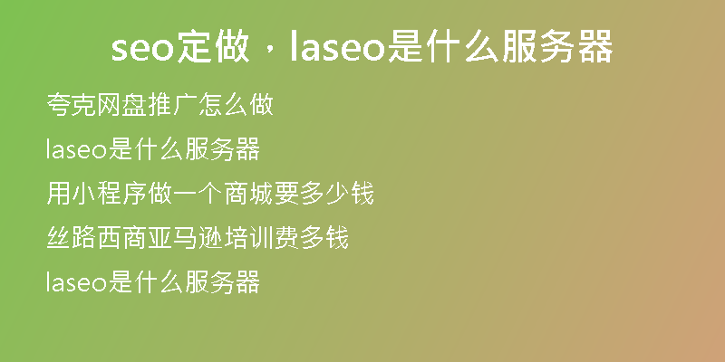 seo定做，laseo是什么服务器