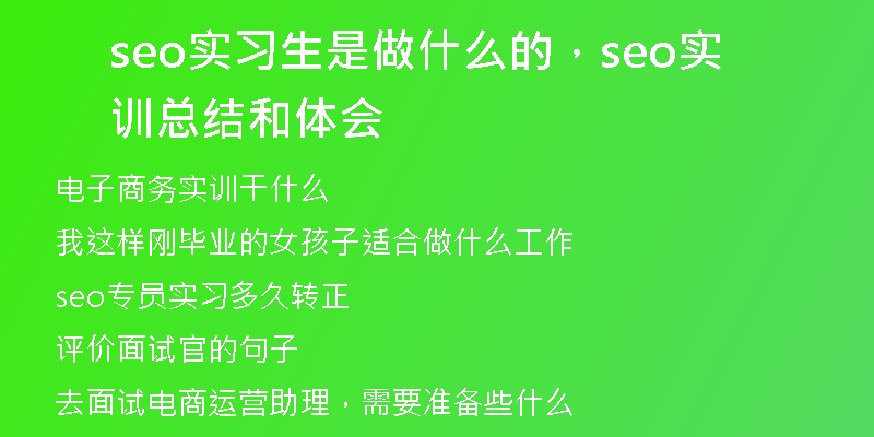 seo实习生是做什么的，seo实训总结和体会