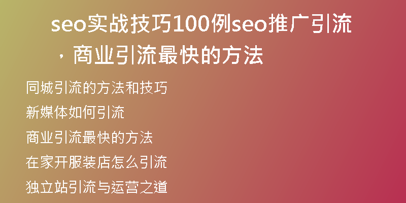 seo实战技巧100例seo推广引流，商业引流最快的方法