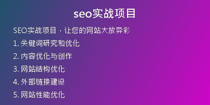 seo实战项目