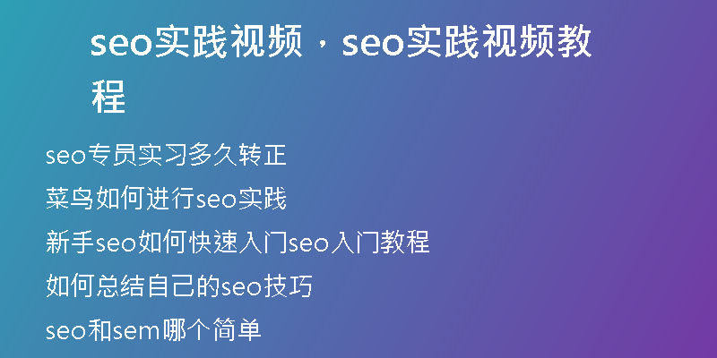seo实践视频，seo实践视频教程