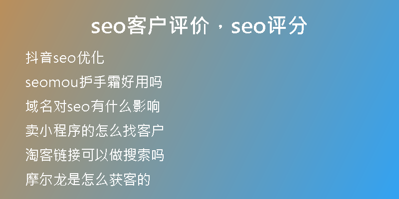 seo客户评价，seo评分