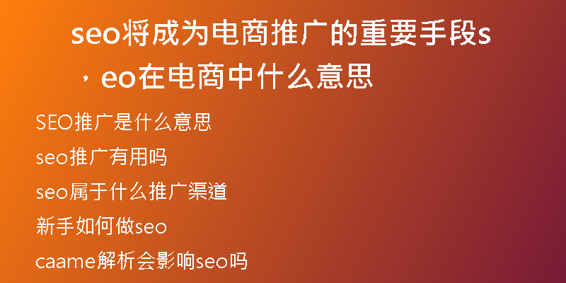 seo将成为电商推广的重要手段，seo在电商中什么意思