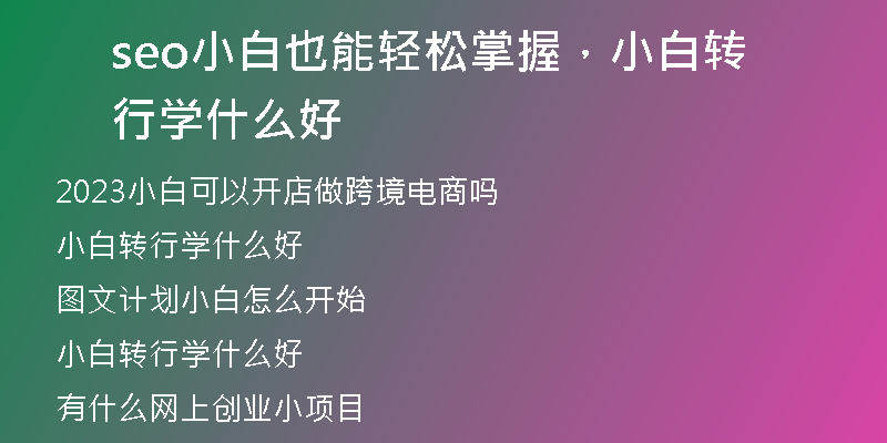 seo小白也能轻松掌握，小白转行学什么好