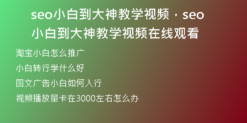 seo小白到大神教学视频，seo小白到大神教学视频在线观看