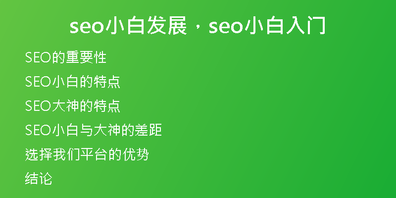 seo小白发展，seo小白入门