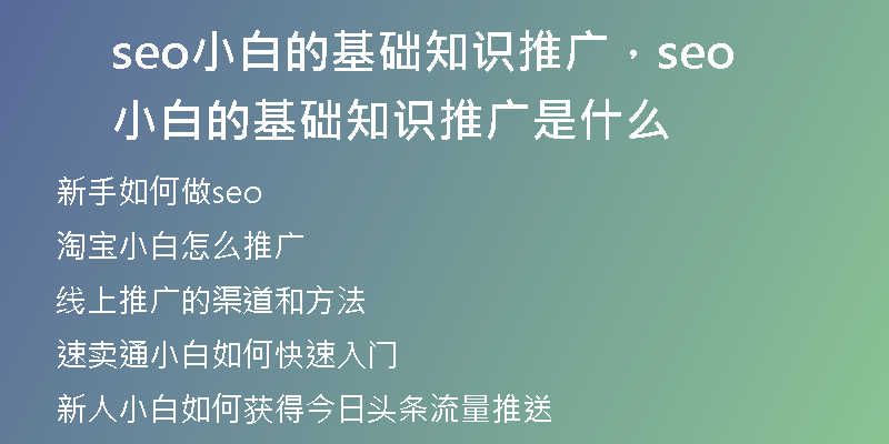 seo小白的基础知识推广，seo小白的基础知识推广是什么