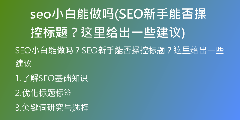 seo小白能做吗(SEO新手能否操控标题?这里给出一些建议)