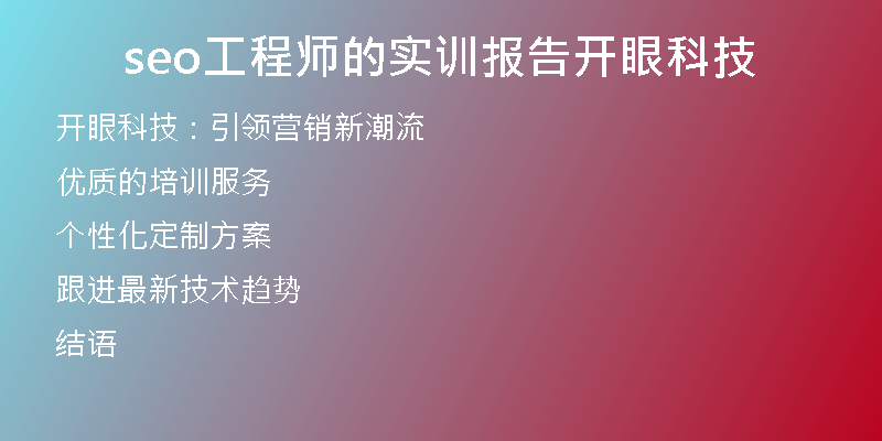 seo工程师的实训报告开眼科技