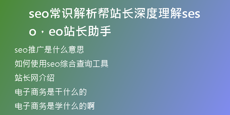 seo常识解析帮站长深度理解seo，seo站长助手