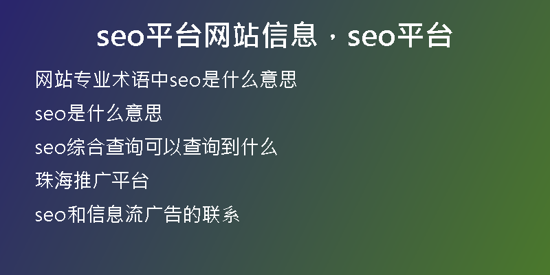 seo平台网站信息，seo平台
