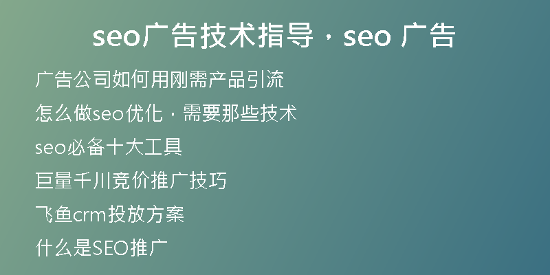 seo广告技术指导，seo 广告