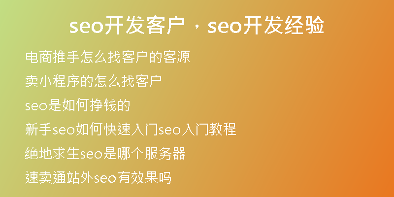 seo开发客户，seo开发经验