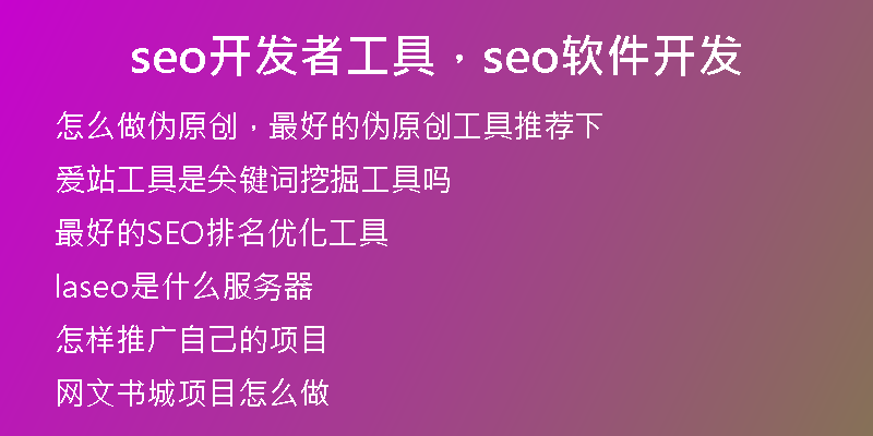 seo开发者工具，seo软件开发