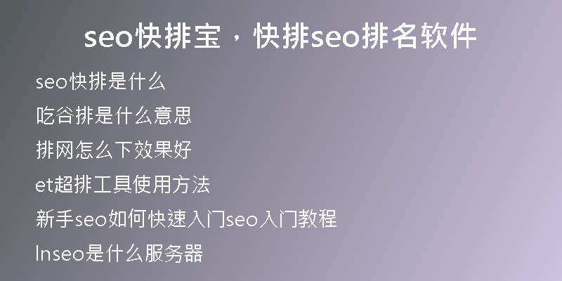 seo快排宝，快排seo排名软件