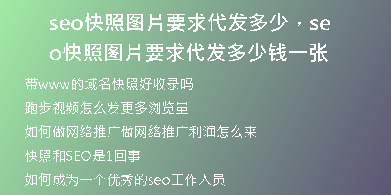seo快照图片要求代发多少，seo快照图片要求代发多少钱一张
