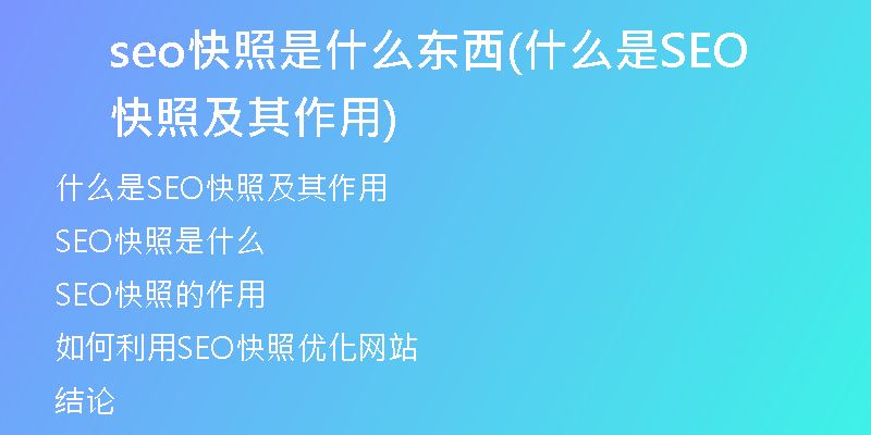 seo快照是什么东西(什么是SEO快照及其作用)
